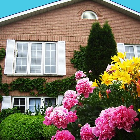 Opus 74 Bed & Breakfast Stratford Exterior photo