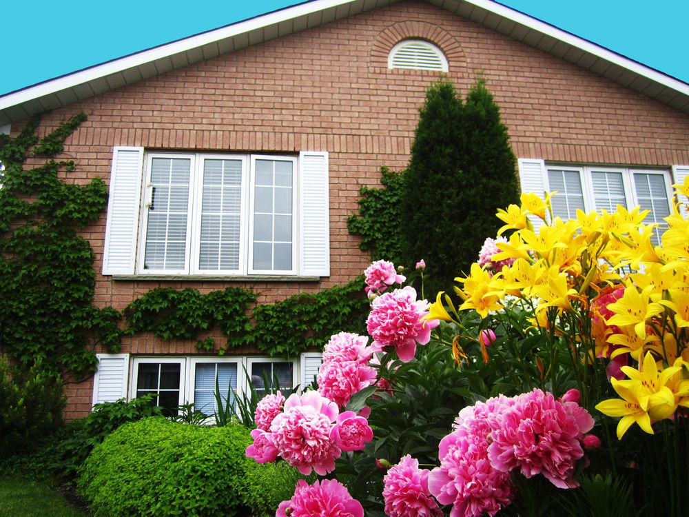 Opus 74 Bed & Breakfast Stratford Exterior photo